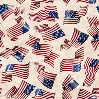 Amazon.com: Quilting Treasures American Spirit Flag Toss, Fabric by The ...