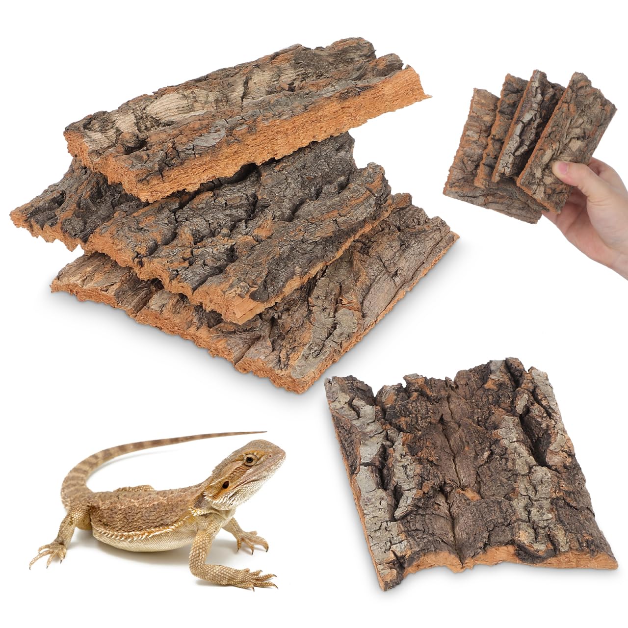DOITOOL Lot de 4 Toiles de Fond en écorce de liège Naturel pour Reptiles, Escalade, Terrarium, Perche en Liège Naturel Accessoires décoratifs pour Oiseaux Tortue Lézard (Couleur Bois)
