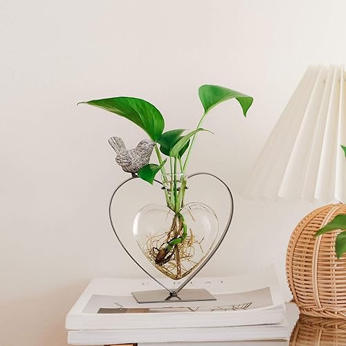 Miniatura 28 de Marbrasse - Jarrón hidropónico de cristal de sobremesa, florero con soporte para decoración del hogar, soporte de terrario, contenedor de Scindapsus