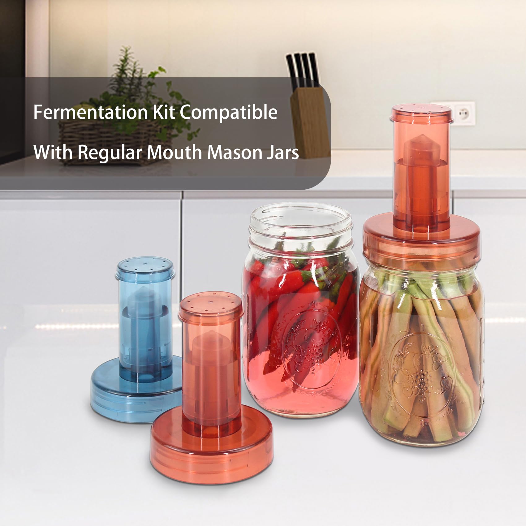 Lot De 2 Poids De Fermentation Pour Bocaux Mason - Poids En