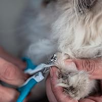 Vista 6 de Mr. Pen - Cortaúñas para gatos, cortaúñas para mascotas, cortaúñas para gatitos, fácil de usar, corte preciso y afilado