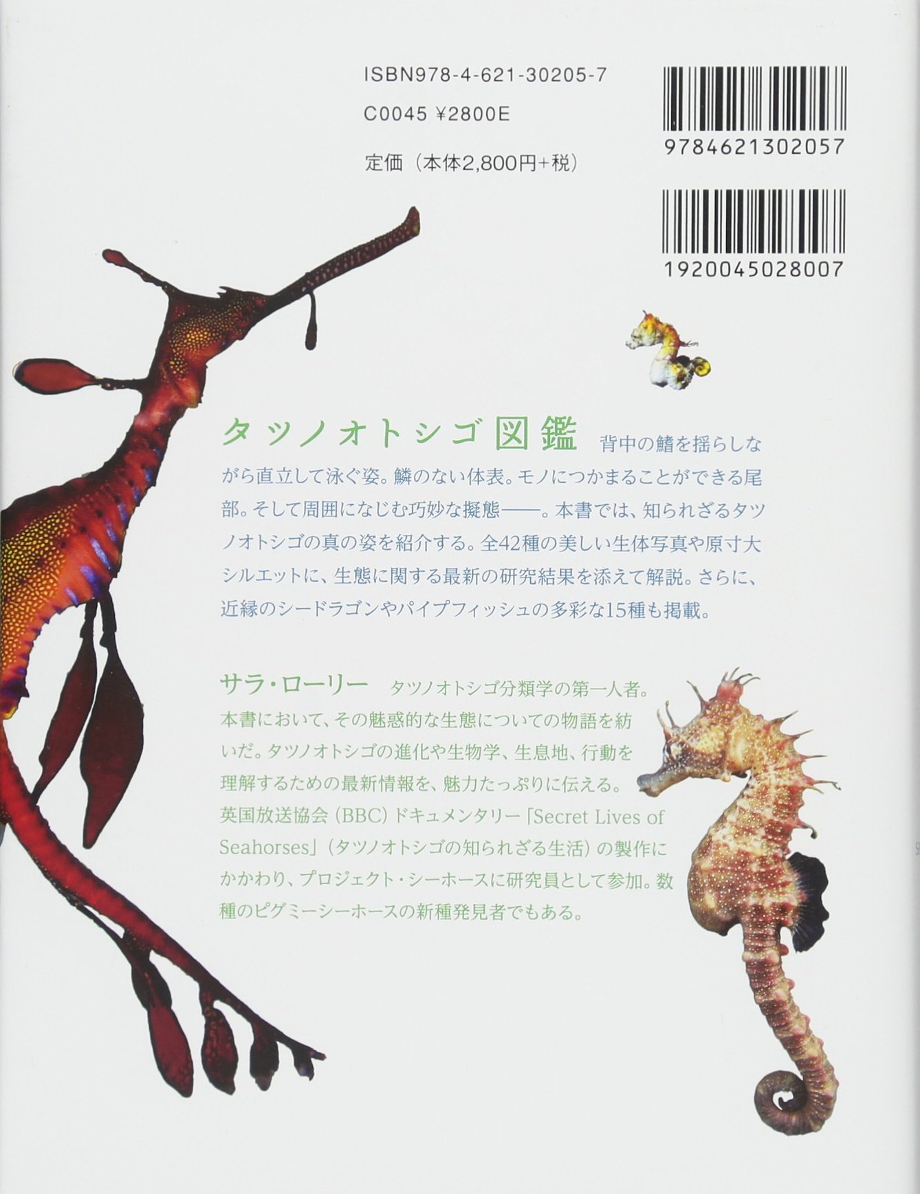 タツノオトシゴ図鑑 曽我部 篤 本 通販 Amazon