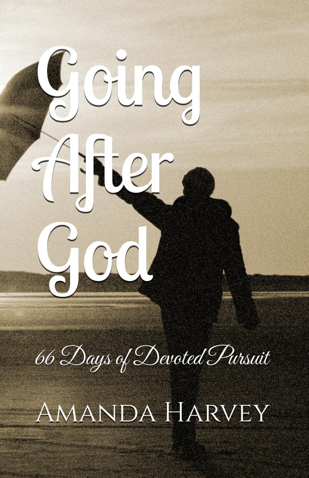 Going After God: 66 Days of Devoted Pursuit