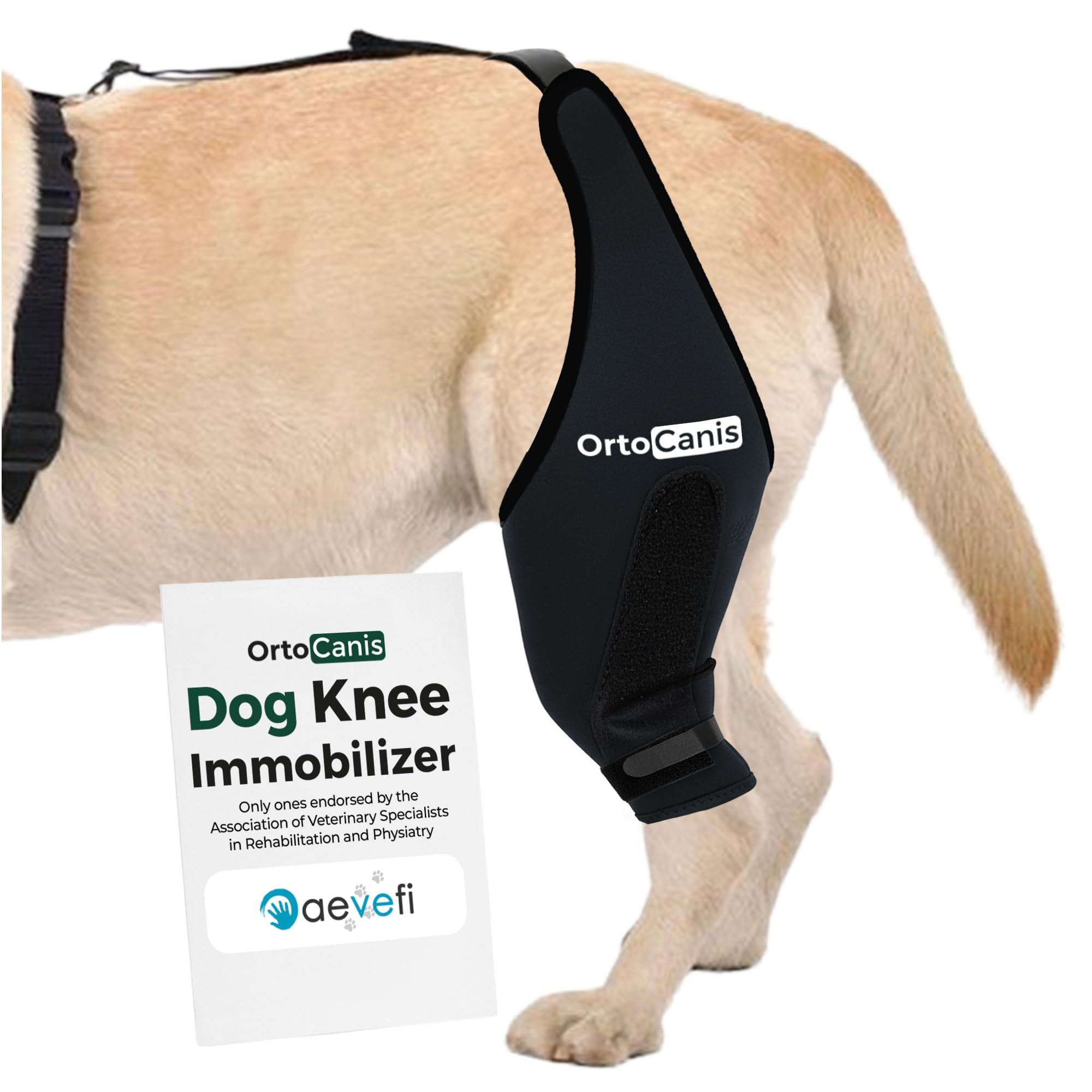 Ortocanis Knee Immobilizer