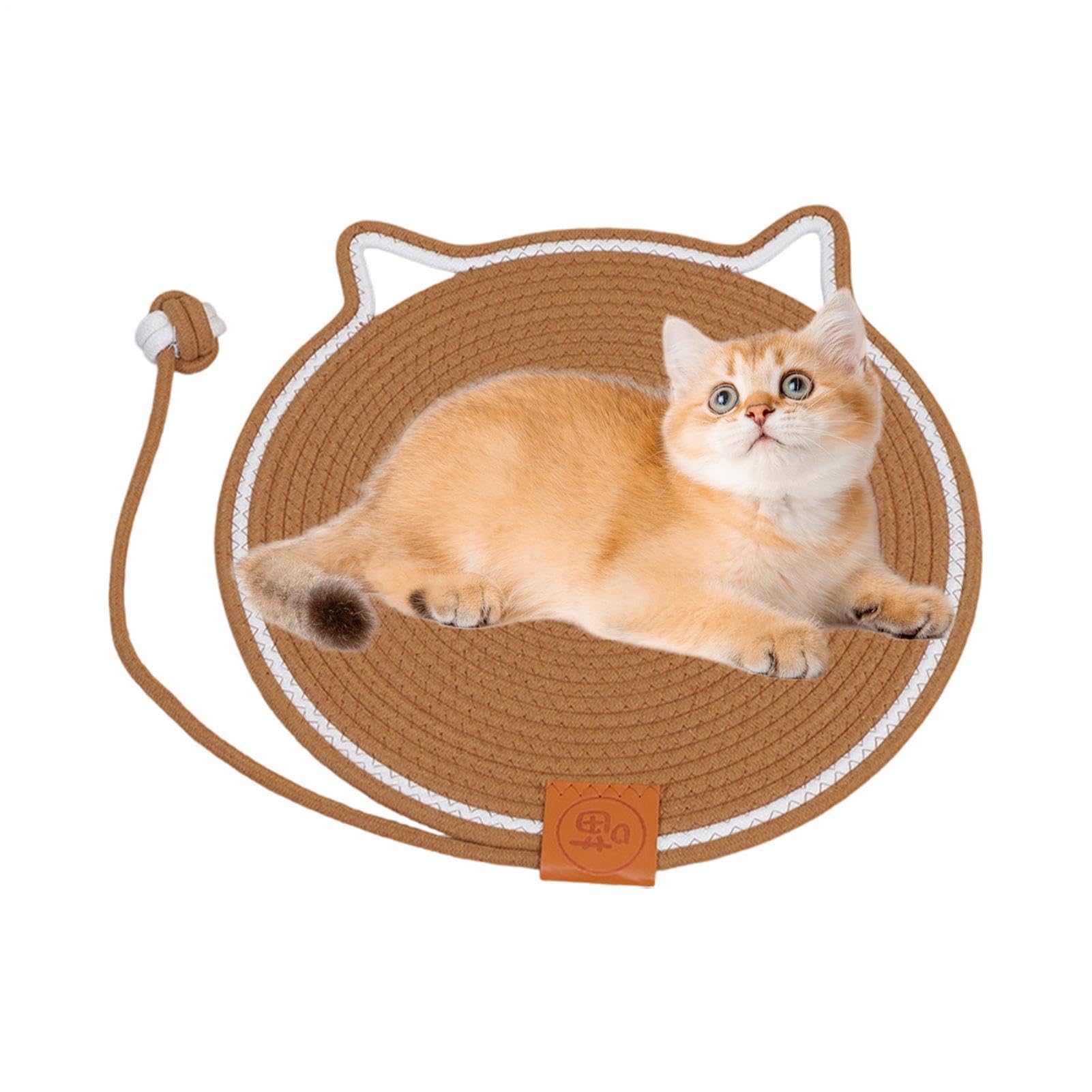Tapis griffoir pour chat mural et de sol pour un salon préservé au quotidien