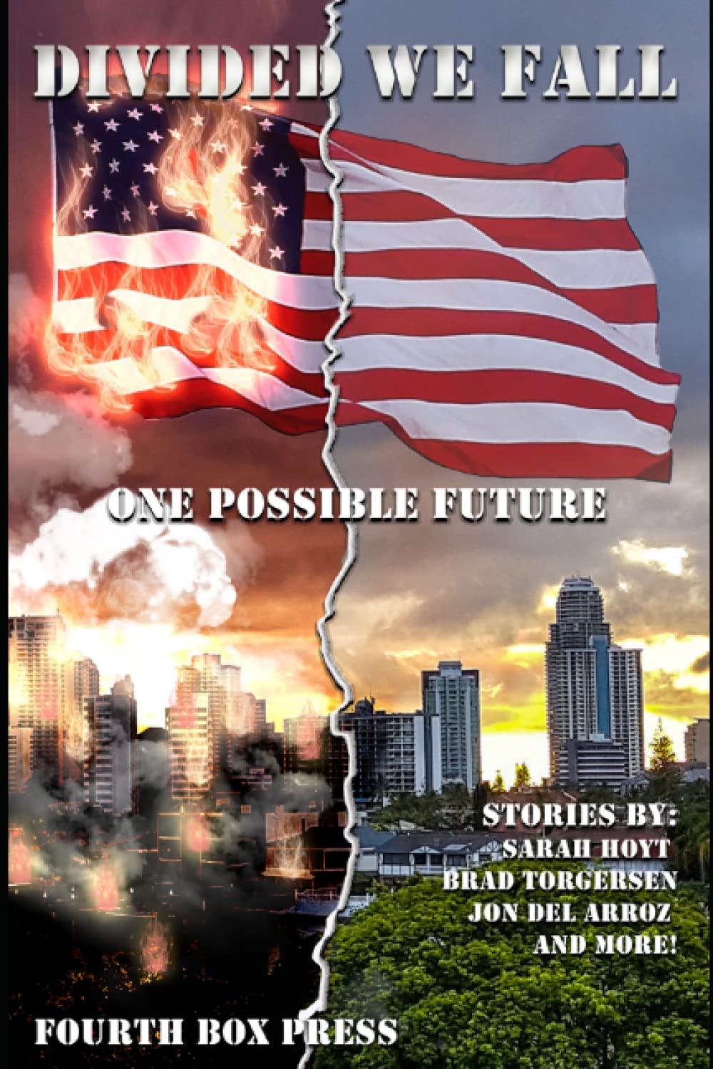 Divided we Fall: One Possible Future