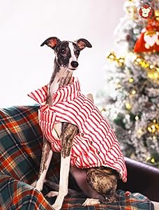 SPACE LION Dog Puffer Jacket, Down Winter Coat, Durable Outdoor Coat for Cold and Windy Conditions, Lightweight & Adjustable Fit Coats for Medium Dogs, (RedStripe, Size 14 Gift Box)