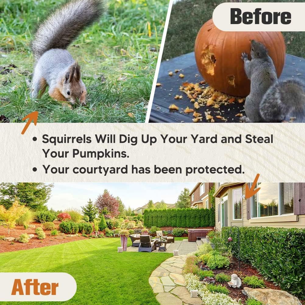 Outdoor Squirrel Repellent, Natural Plant-Based Squirrel and Chipmunk Repellent Pouches for Home, Garden, Attic, Garage & Bird Feeders, Safe Around Kids and Pets, Indoor & Outdoor Use – 8P - Image 5