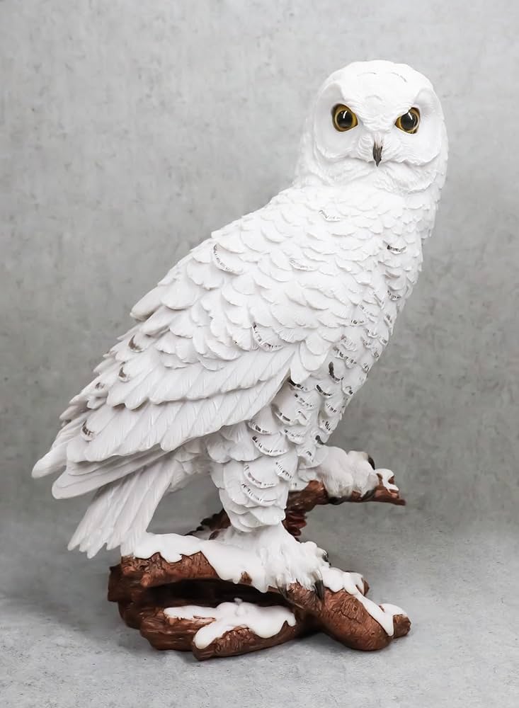 Amazon.co.jp: Ebros 神秘的な白雪フクロウ 鳥像 高さ12.25