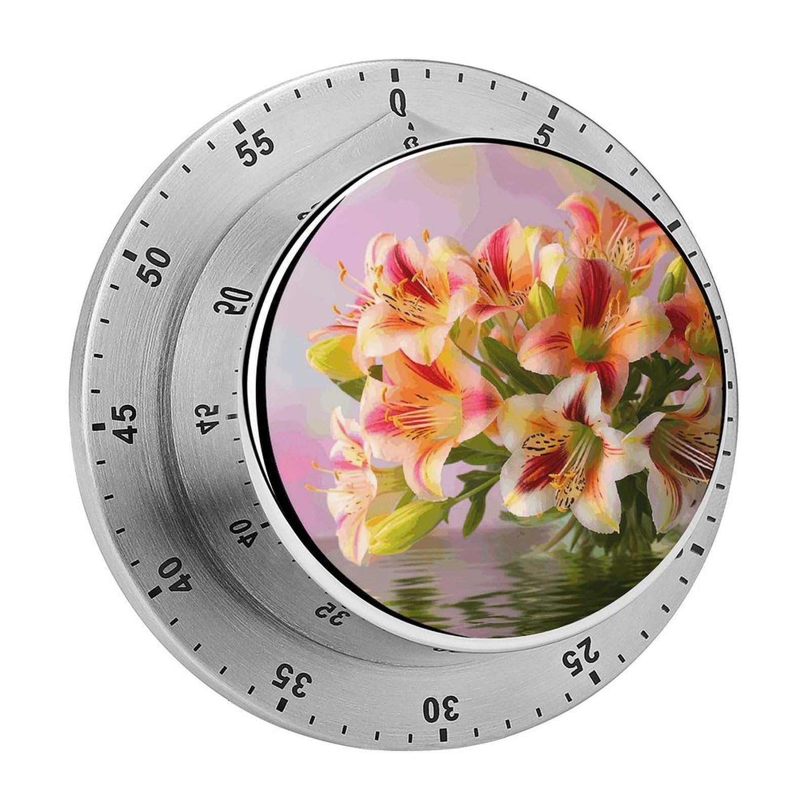 Alstroemeria Visual Timer with Loud Alarm 60-Minute Kitchen Timers Exquisite Stainless Steel Body - Mechanical Desk Timer Countdown Clock for Cooking Chef Clock