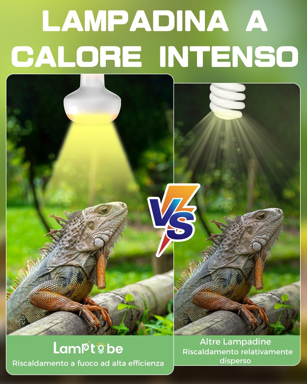 Portalampada Per Rettili QWORK - Altezza Regolabile 38-64cm, Per Terrari - Foto 10