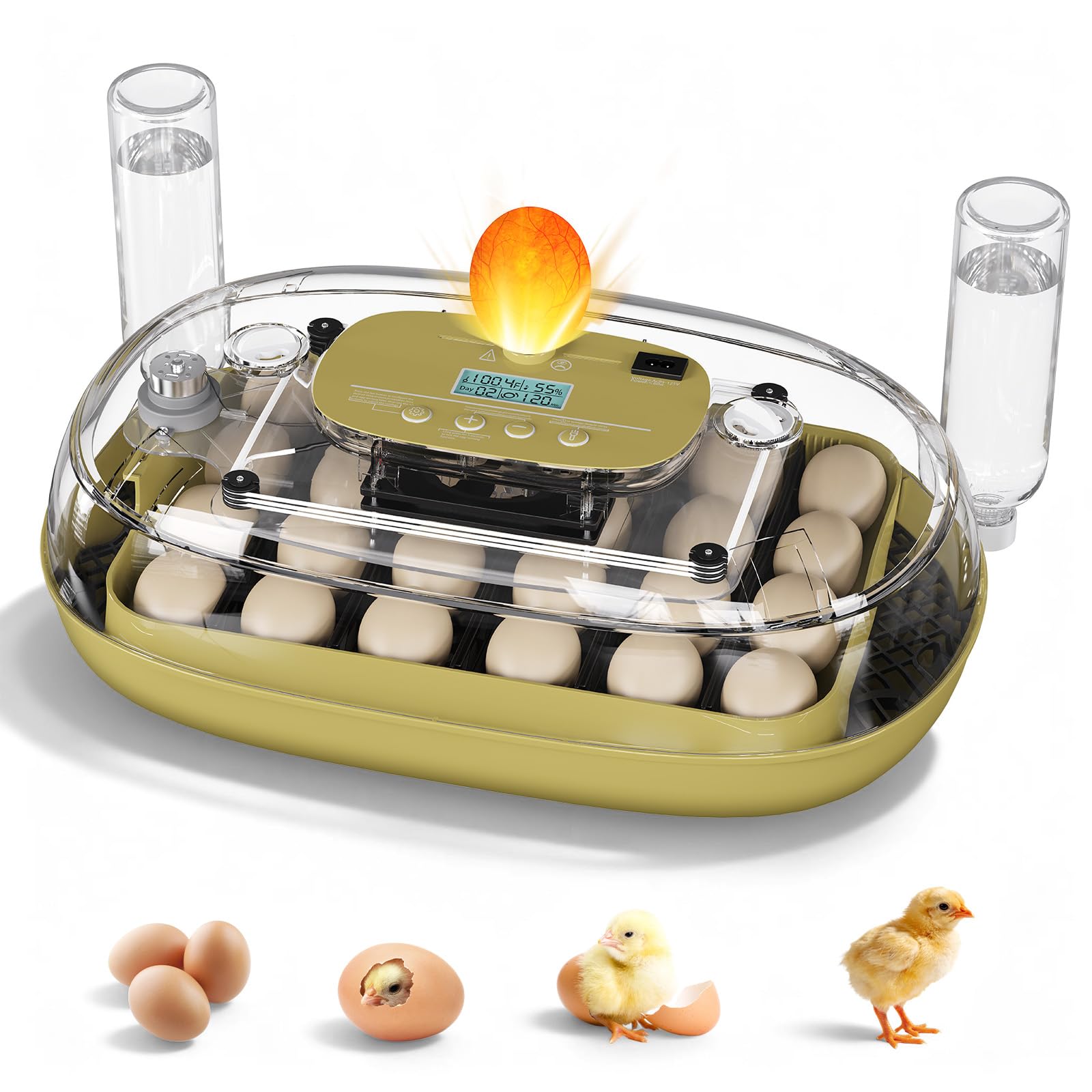 Incubateur de 24 œufs automatique avec contrôle précis de température et mire-œuf intégré