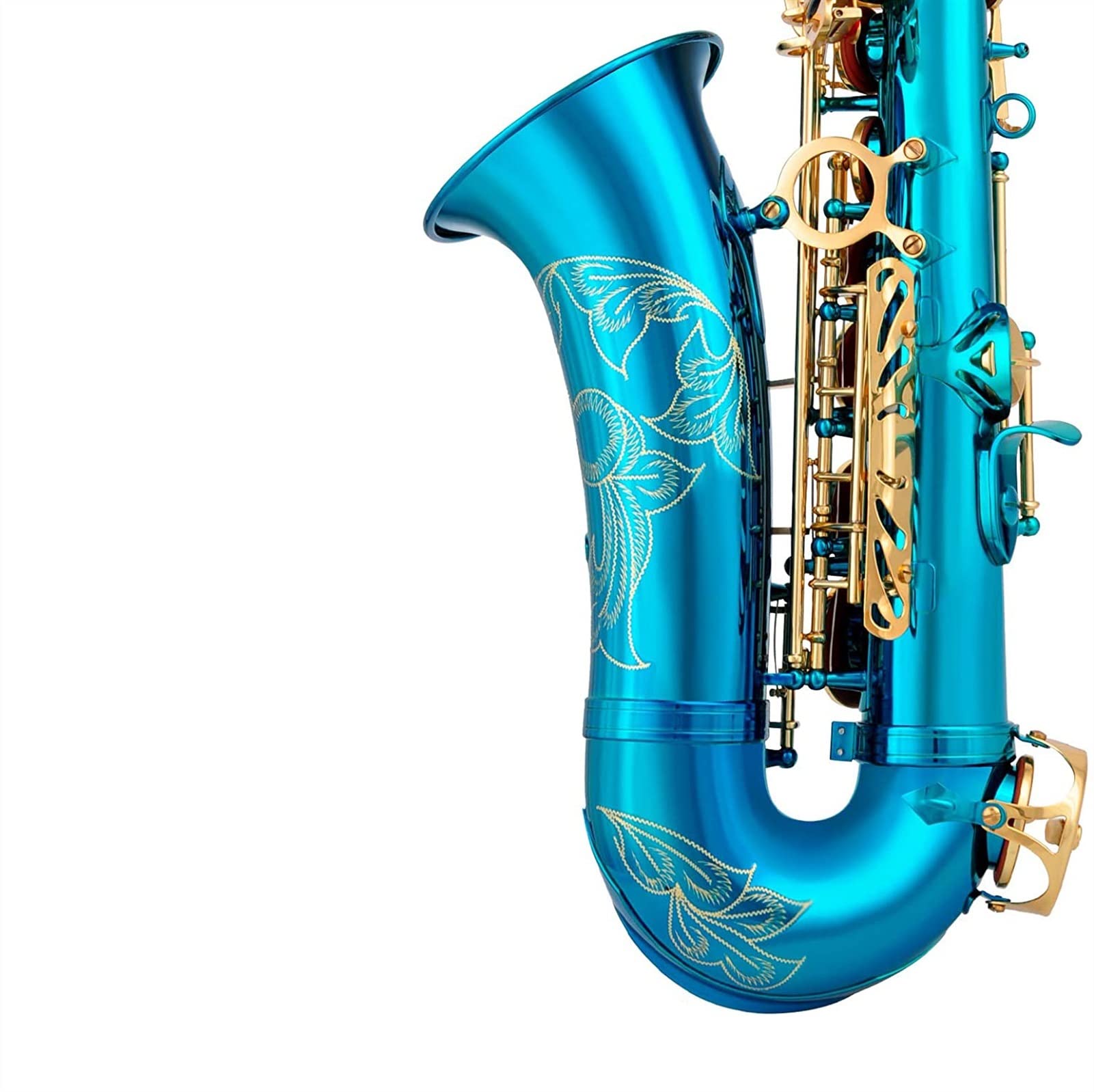 アルトサックス本体 昨年夏に新品として購入 程度良好 Amazon.co.jp: アルト - サックス: 楽器・音響機器