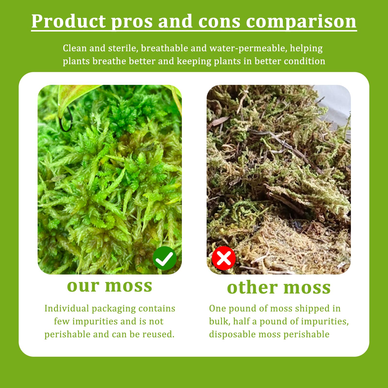 Musgo Natural Seco 200g | Musgo Sphagnum para Plantas, Orquídeas y Terrarios | Sustrato Natural para Bonsáis, Reptiles y Decoración de Jardín