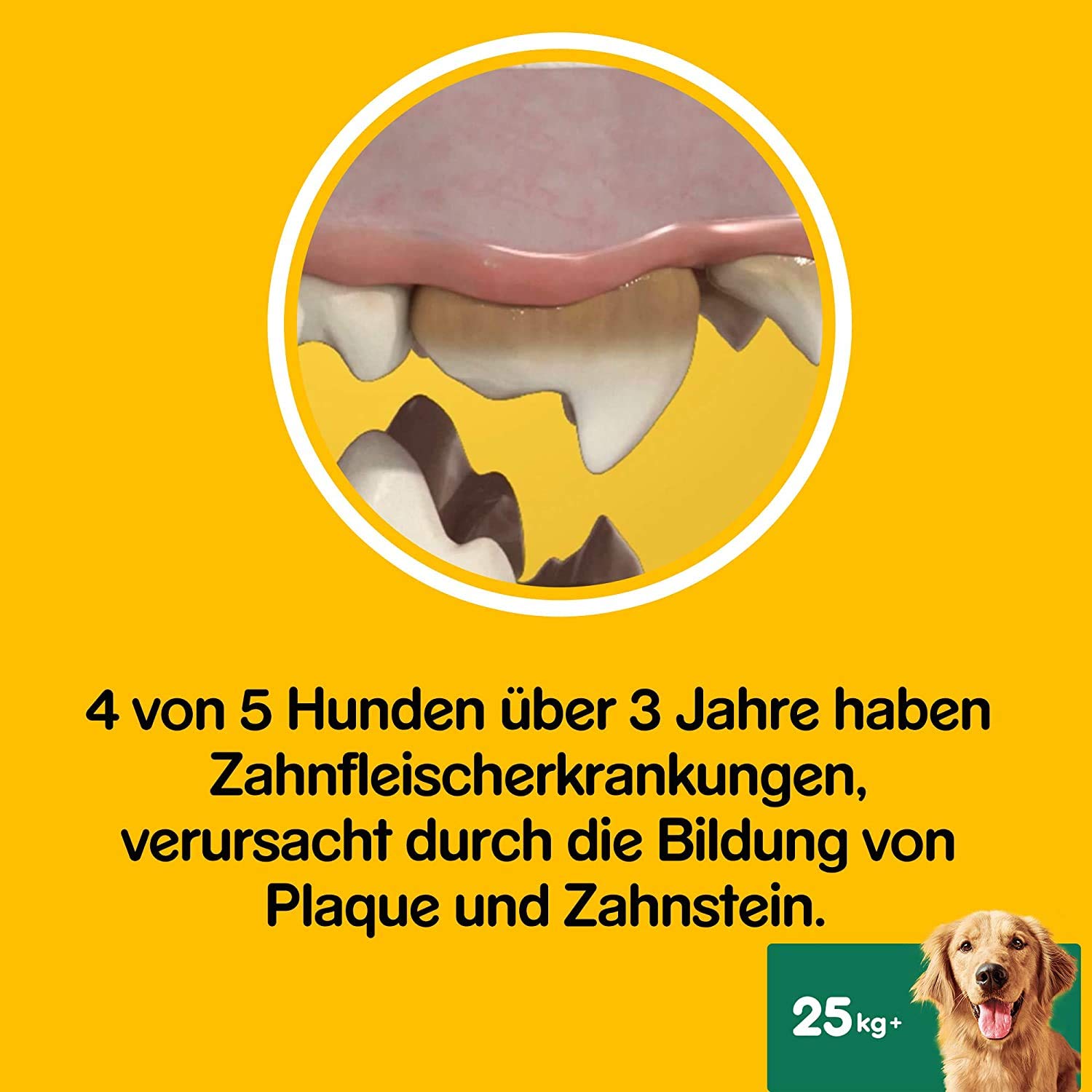 Pedigree DentaStix Fresh Hundeleckerli für große Hunde, Kausnack gegen Zahnsteinbildung, Für gesunde Zähne und einen frischen Atem, 4 er Pack, 4 x 28 Stück