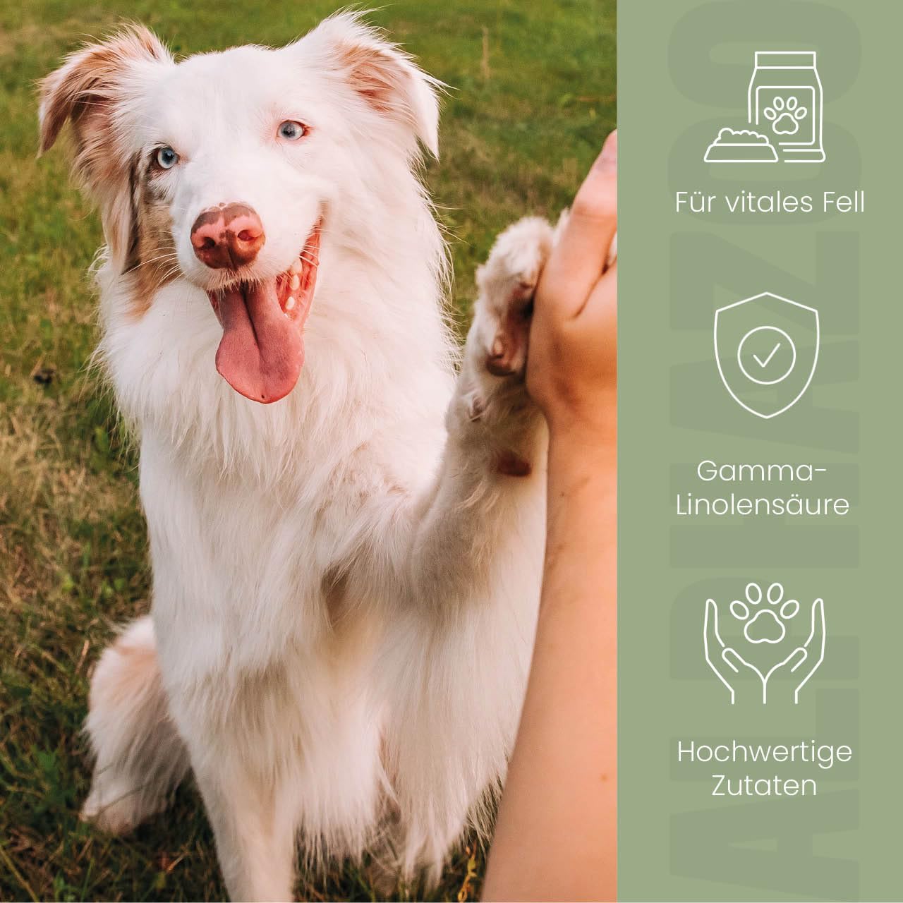 alphazoo olio di Fellliebe 250ml