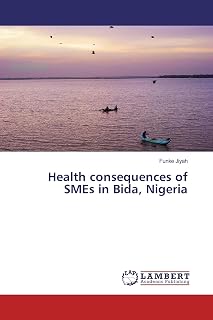 Health consequences of SMEs in Bida, Nigeria
