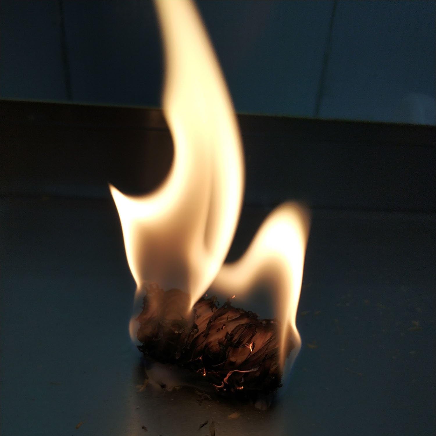 100% Natural Charcoal Fire Starters Super Fast Lighting，Perfect for Barbecue Grills, Kamado, Smokers, Wood Stove and Campfire (500+)