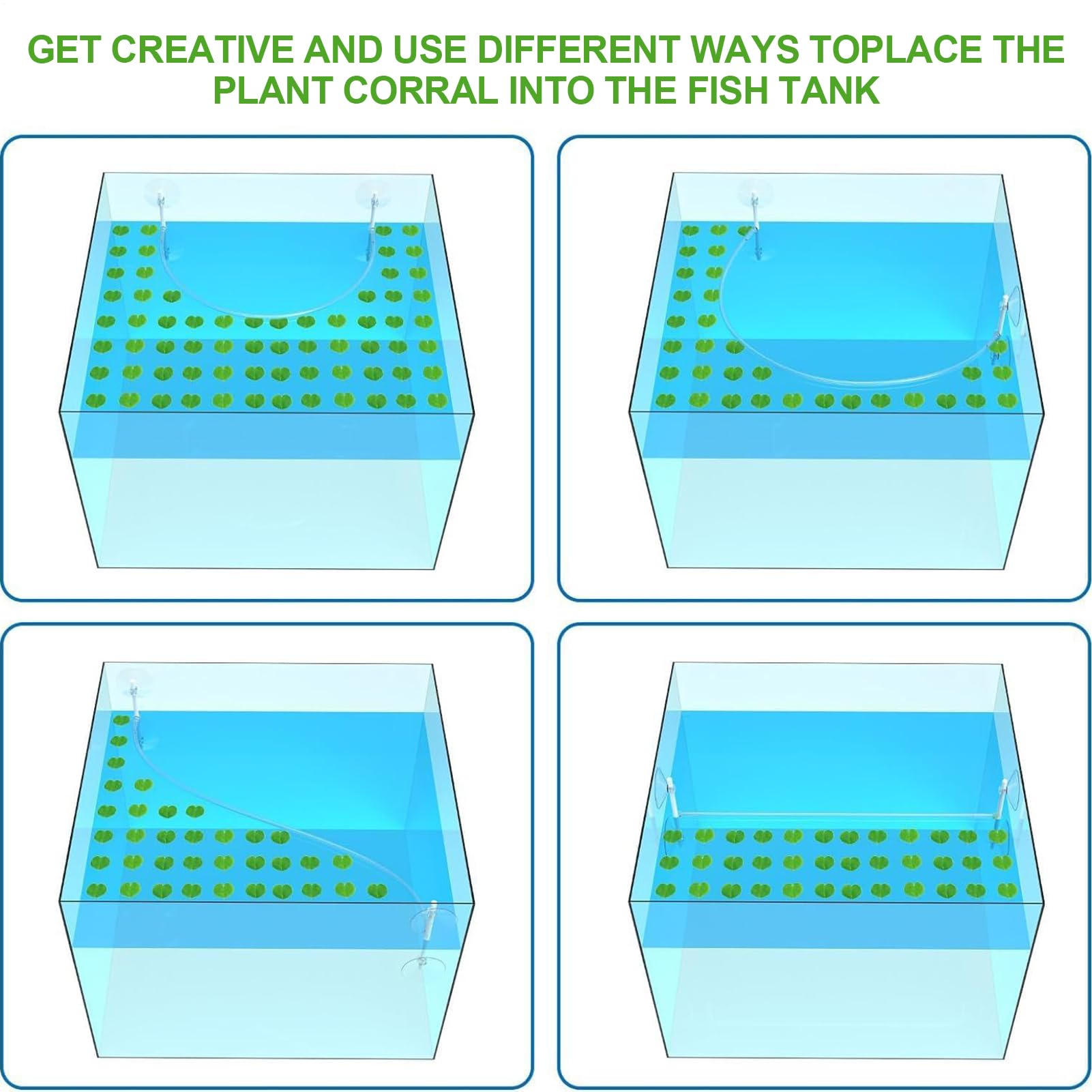 View 6