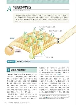 構造生物学 NIPS_Research