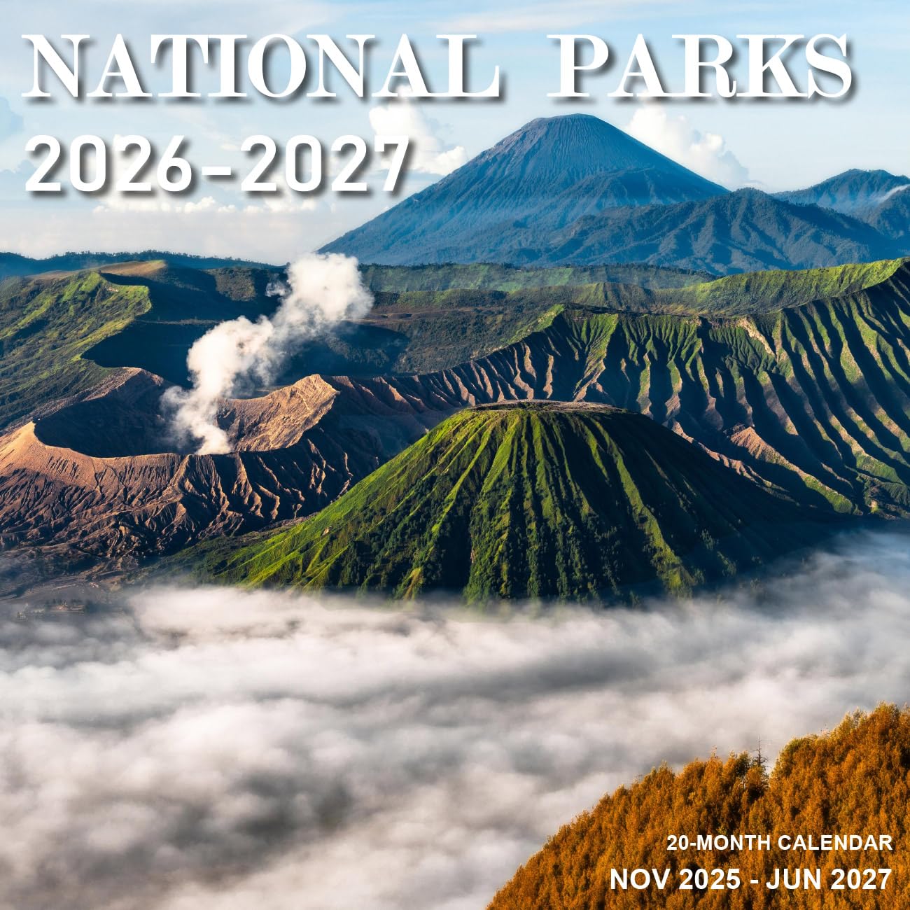 Calendar 2025-2027 - Wall Calendar from November 2025 to June 2027, 2025-2027 Hanging Calendar with Holiday Marked, Premium Paper for Organizing, 12'' x 12'',National Park - B