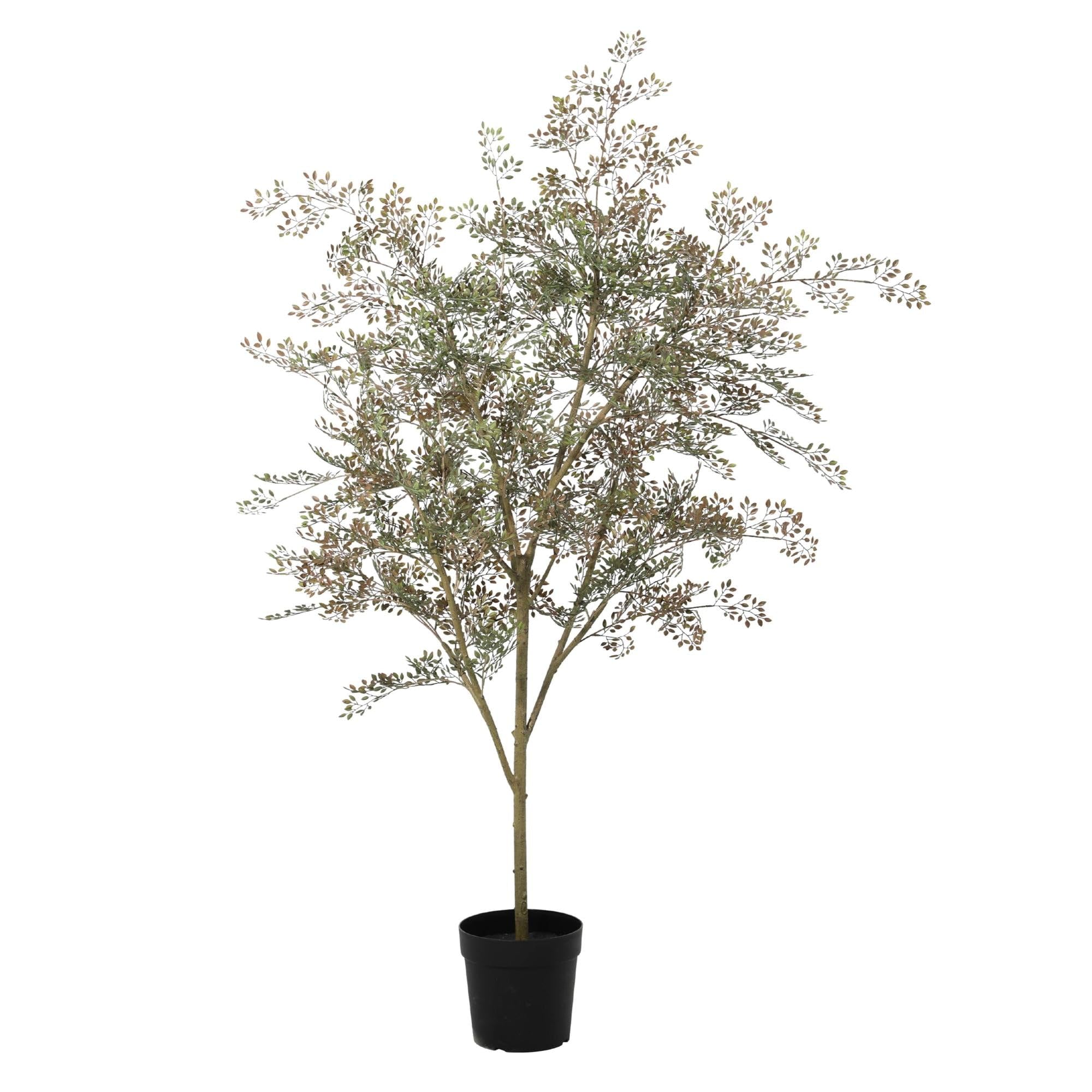 Plante artificielle Bucida 165 cm sans arrosage pour embellir un coin de salon sombre