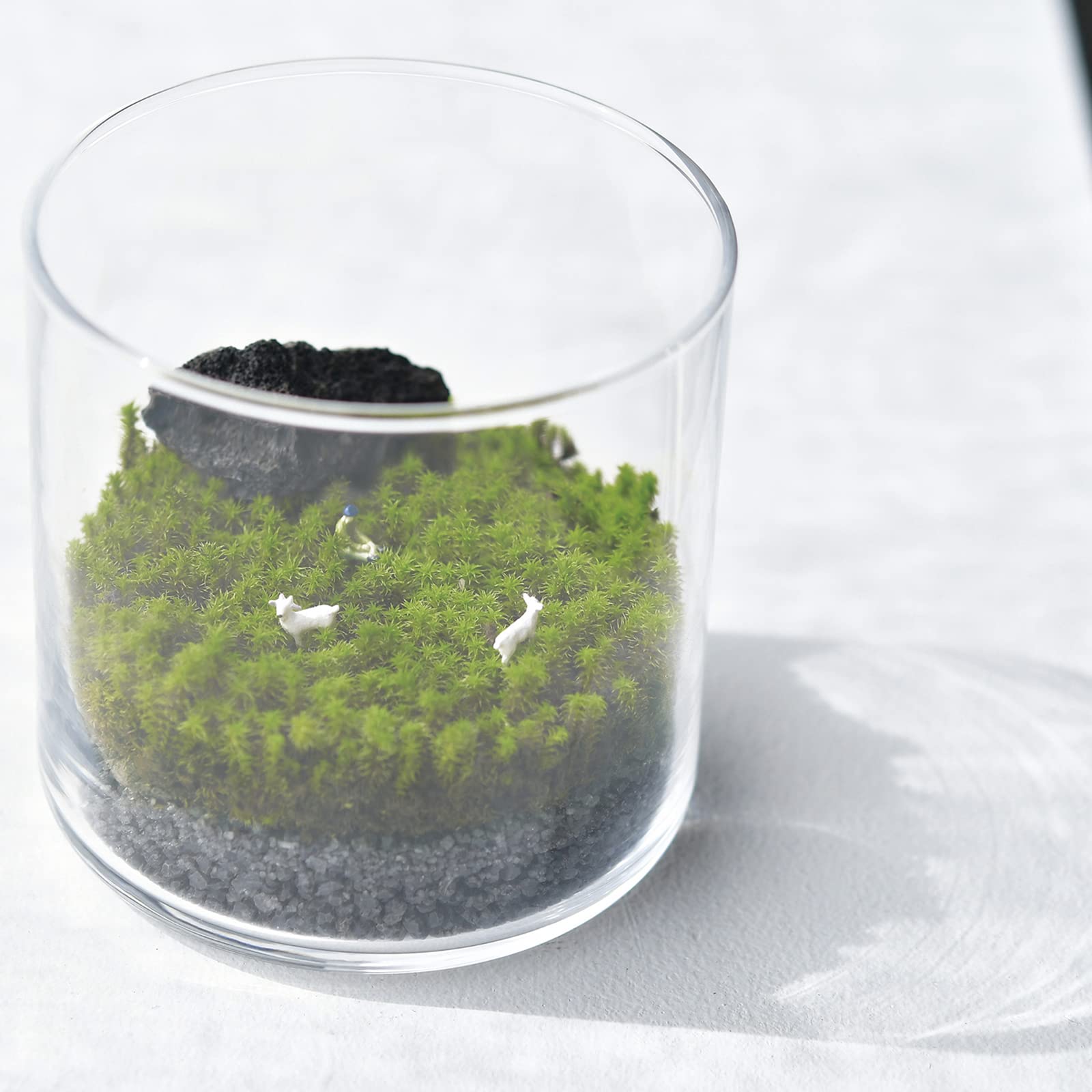 ❣️苔アート❣️ シャネイル様❣️苔リューム❣️オーダー4点セット❣️送料込み❣️ ❣️苔アート❣️ シャネイル様❣️苔リューム❣️オーダー4点