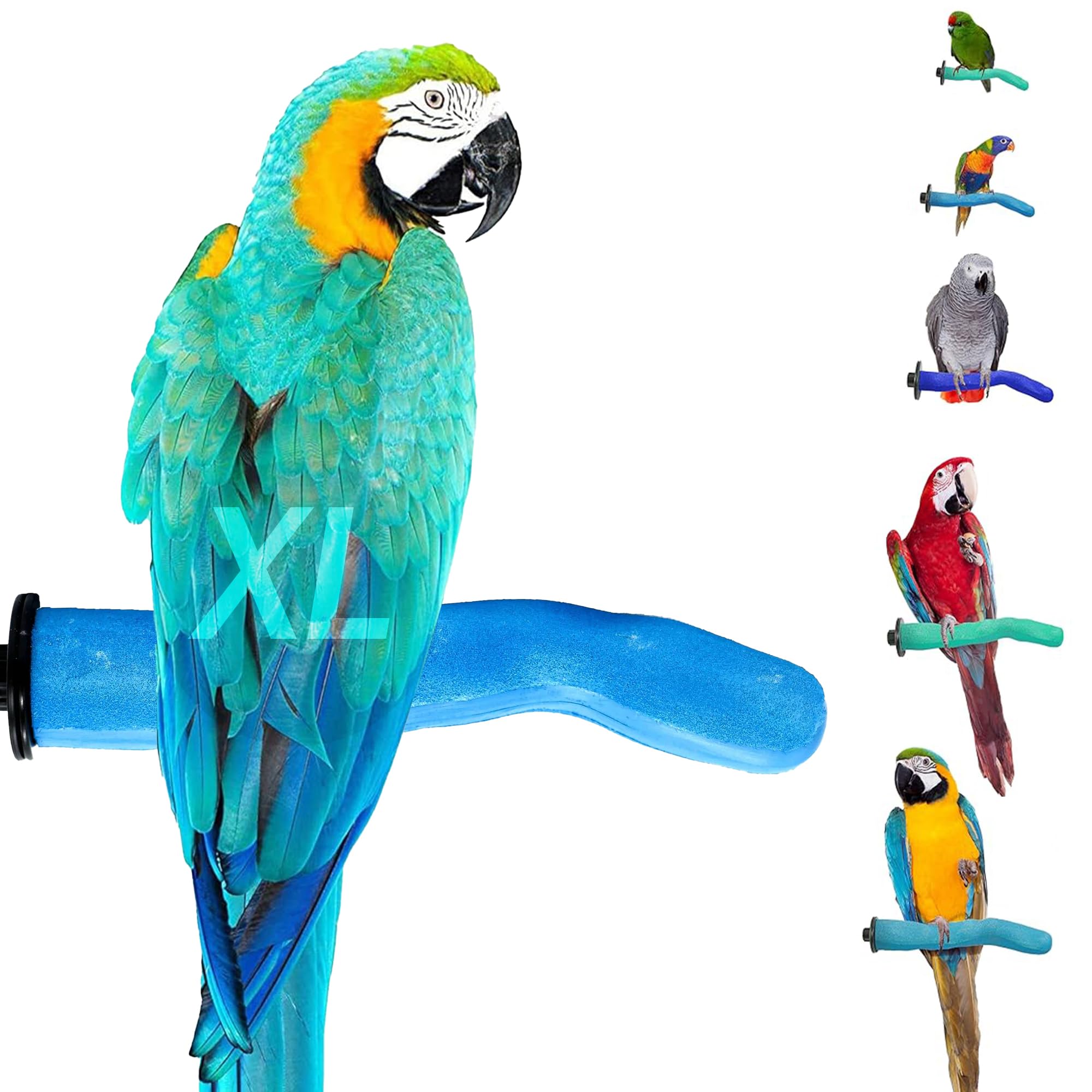 Sweet Feet and Beak Safety Pumice Bird Perch, X-Large Pedicure Perch, Blue