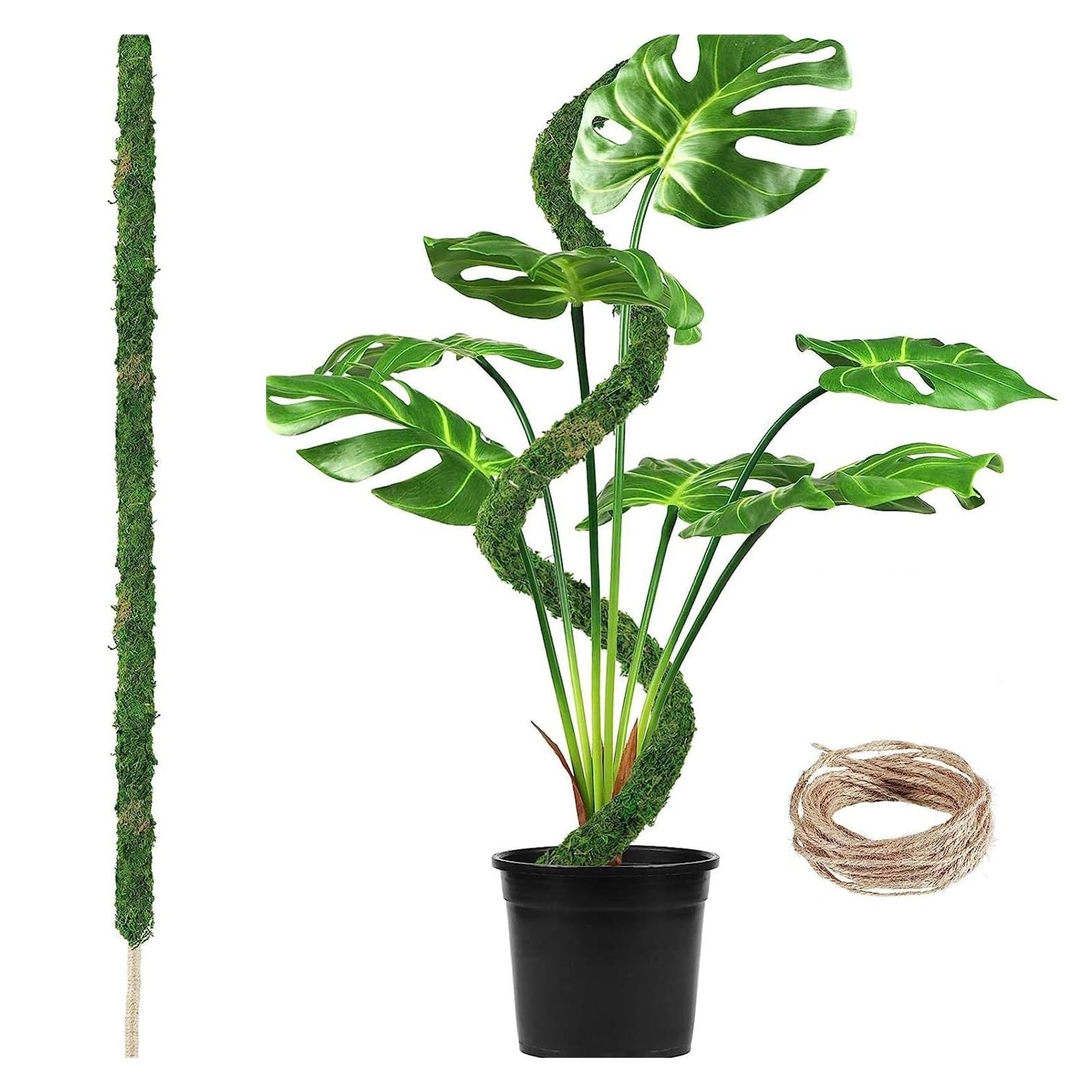 Tuteur Plante Poteau en Mousse Pliable for Plantes, 1 pièce, poteaux Monstera for piquets de Plantes grimpantes for l'intérieur, Support