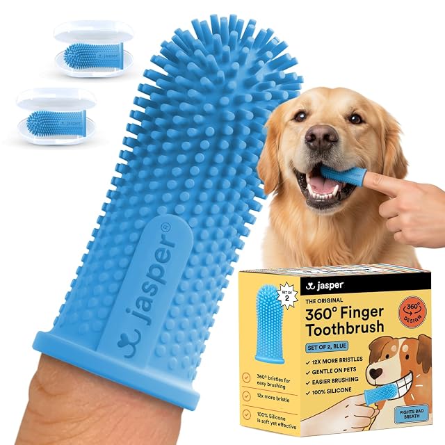 Jasper brosse à dents à doigt 360° pour chiens et chats, bleu, lot de 2