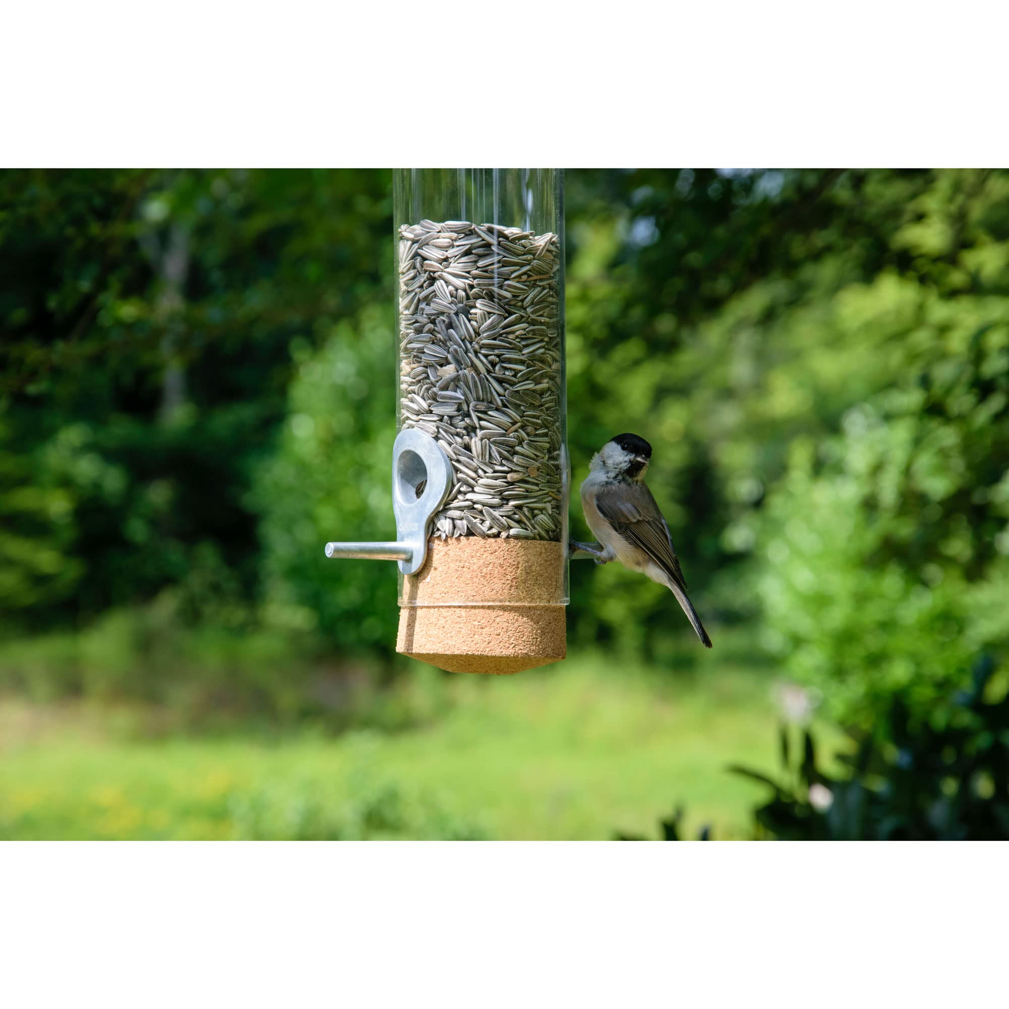 dobar® Premium Design Vogelfuttersäule Echtglas-Pickbar - Futterspender zum Hängen - Wildvogelfutterautomat mit Lederkordel - Futterstation für Wildvögel - Ø 9 x 33 cm - Transparent