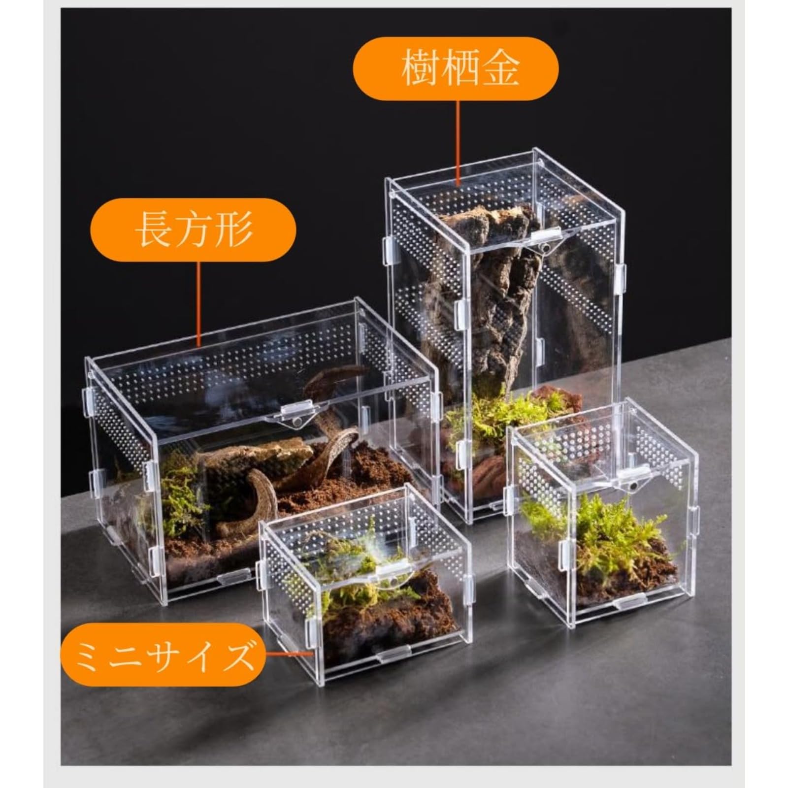 Amazon | haoyunjianjiak 爬虫類 両生類用飼育ケース 飼育ケージ 透明 