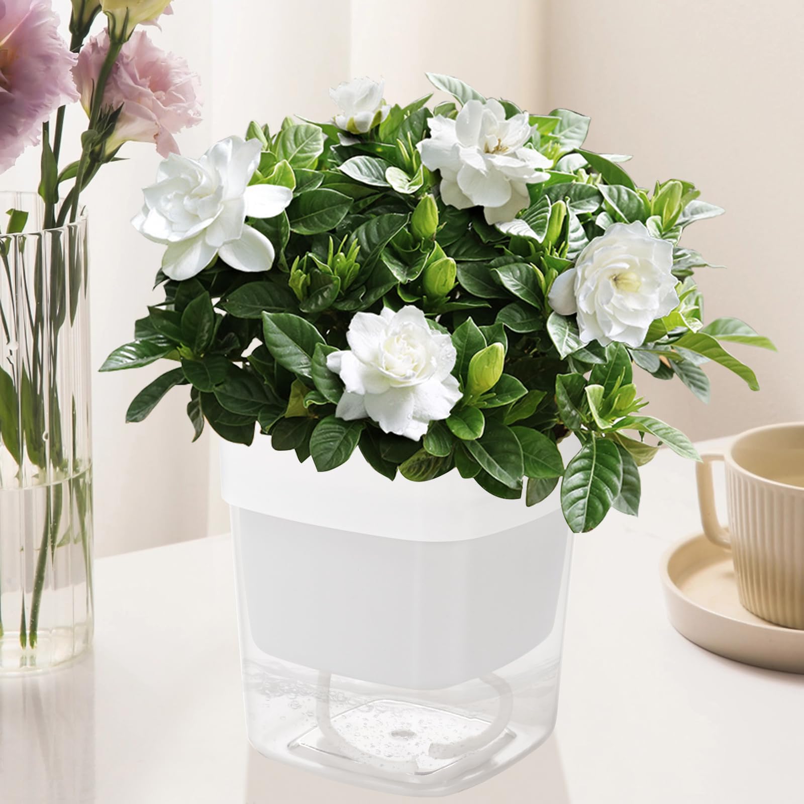 8 Vasi Autoirriganti per Erbe Aromatiche e Piante da Interno, Doppio Strato con Riserva d'Acqua, Rettangolare, 12 x 10 x 11 cm, Plastica, Bianco