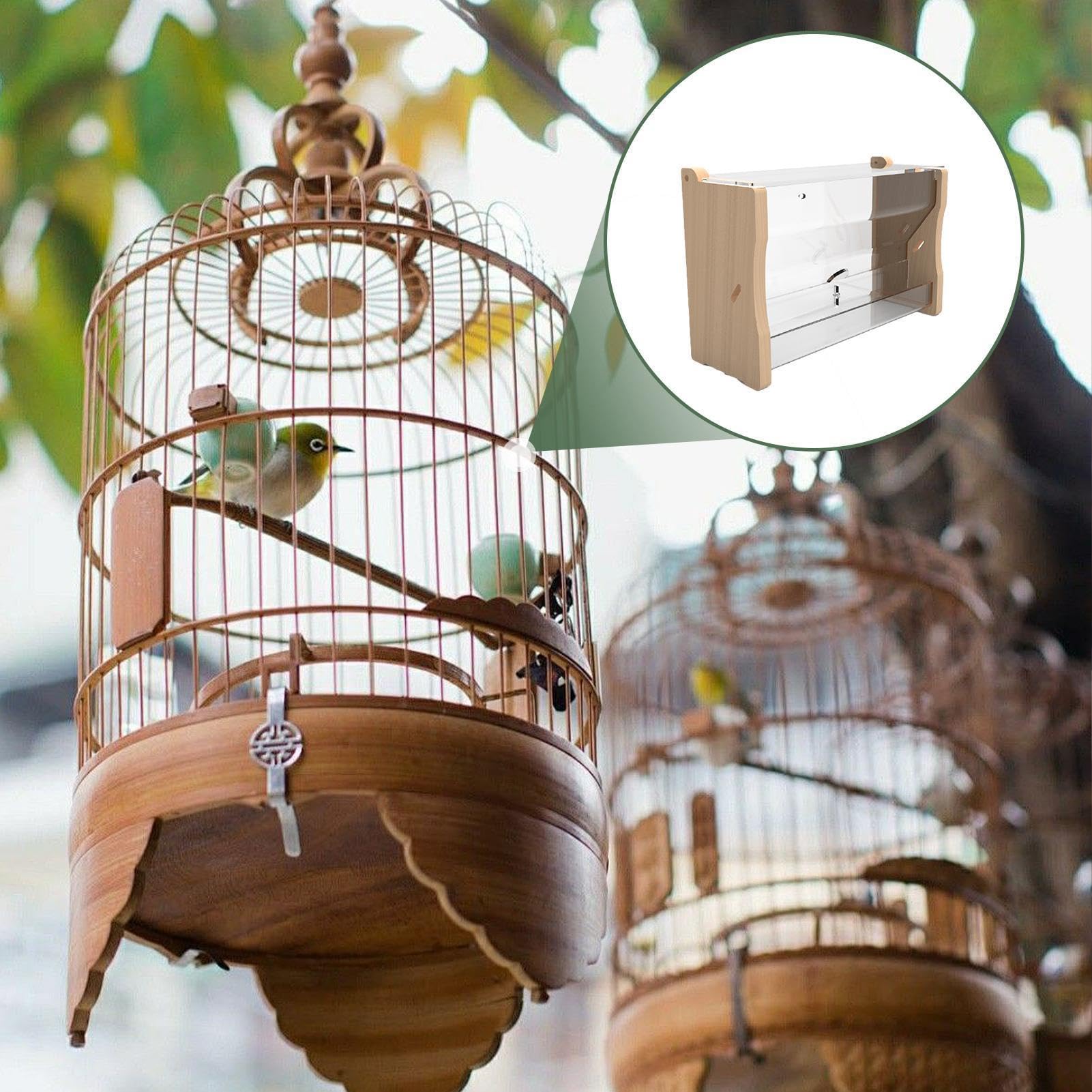 No Waste Quail Feeder,Duck Water Feeder Distributeur d'eau pour Oiseaux, | Mangeoire à poulet Distributeur d'eau d'