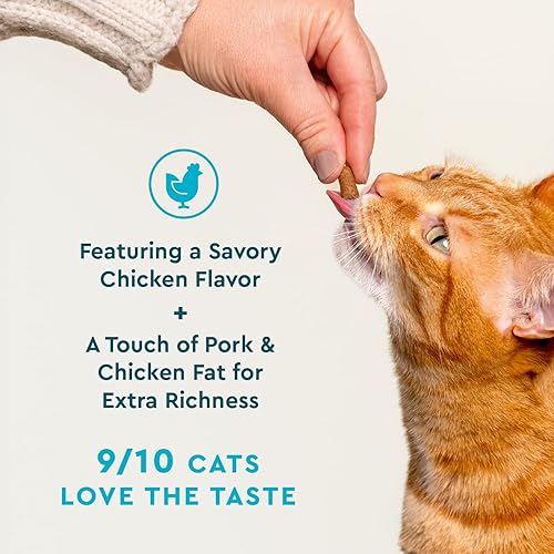 Miniatura 4 de VetIQ Suplemento de probióticos para gatos probióticos, prebióticos y posbióticos para gatos, apoyo para la salud digestiva e intestinal, alivio del