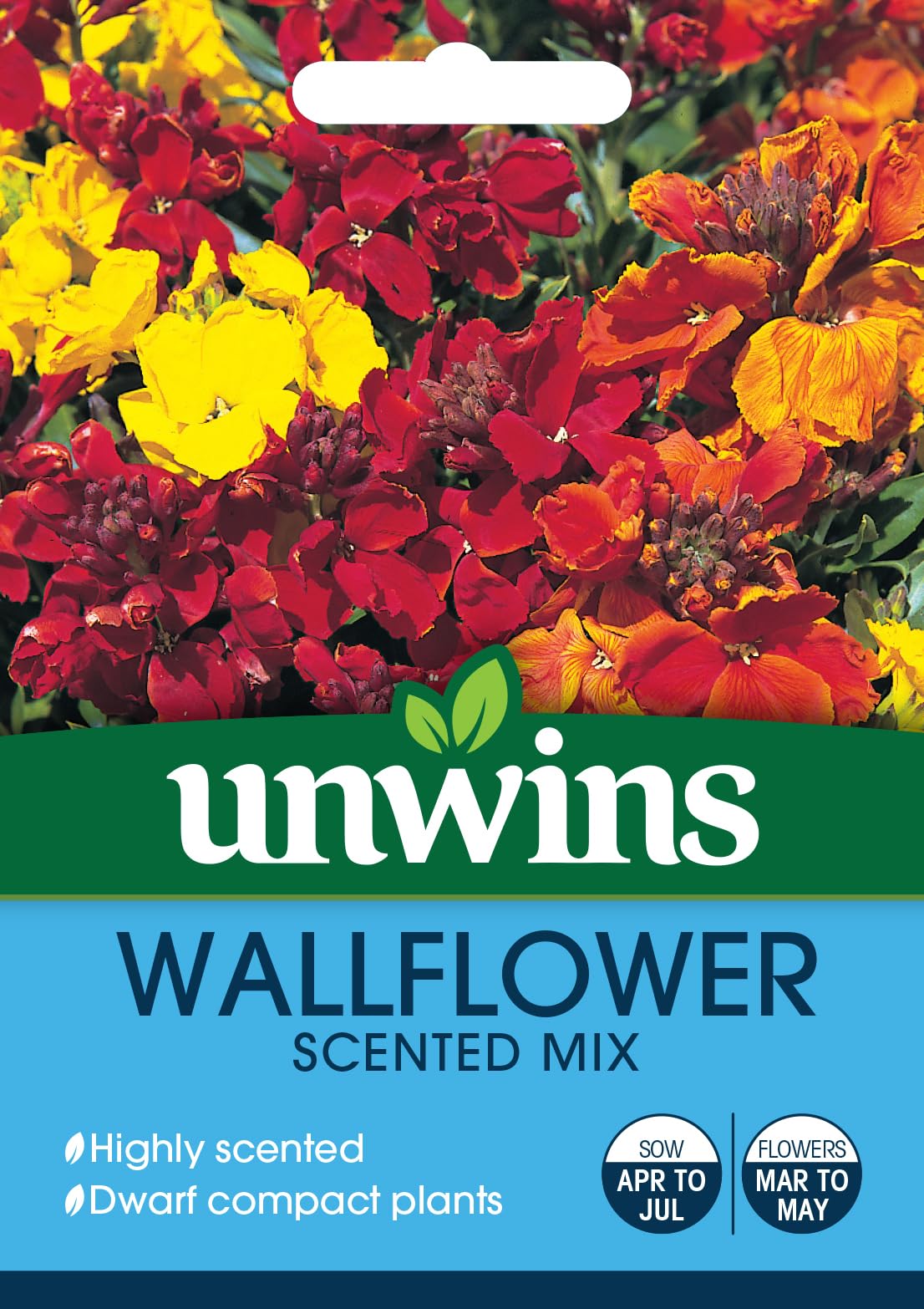 WallFlower (Scented Mix), Garden Flower Seeds Grow Your Own Colourful Flowers, Attract Butterflies & Bees