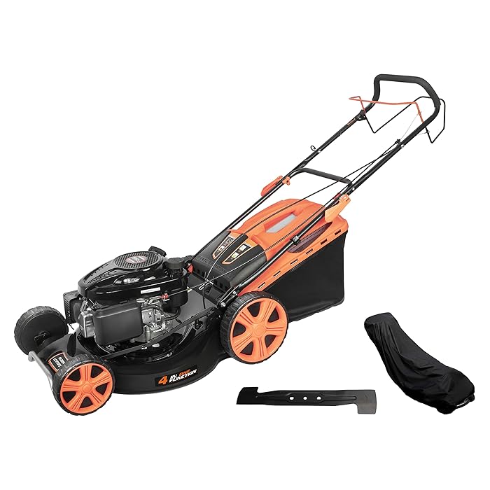 Buy LAGINZA 196CC 21INCH 4in1 SelfPropelled Gas Powered Lawn Mower
