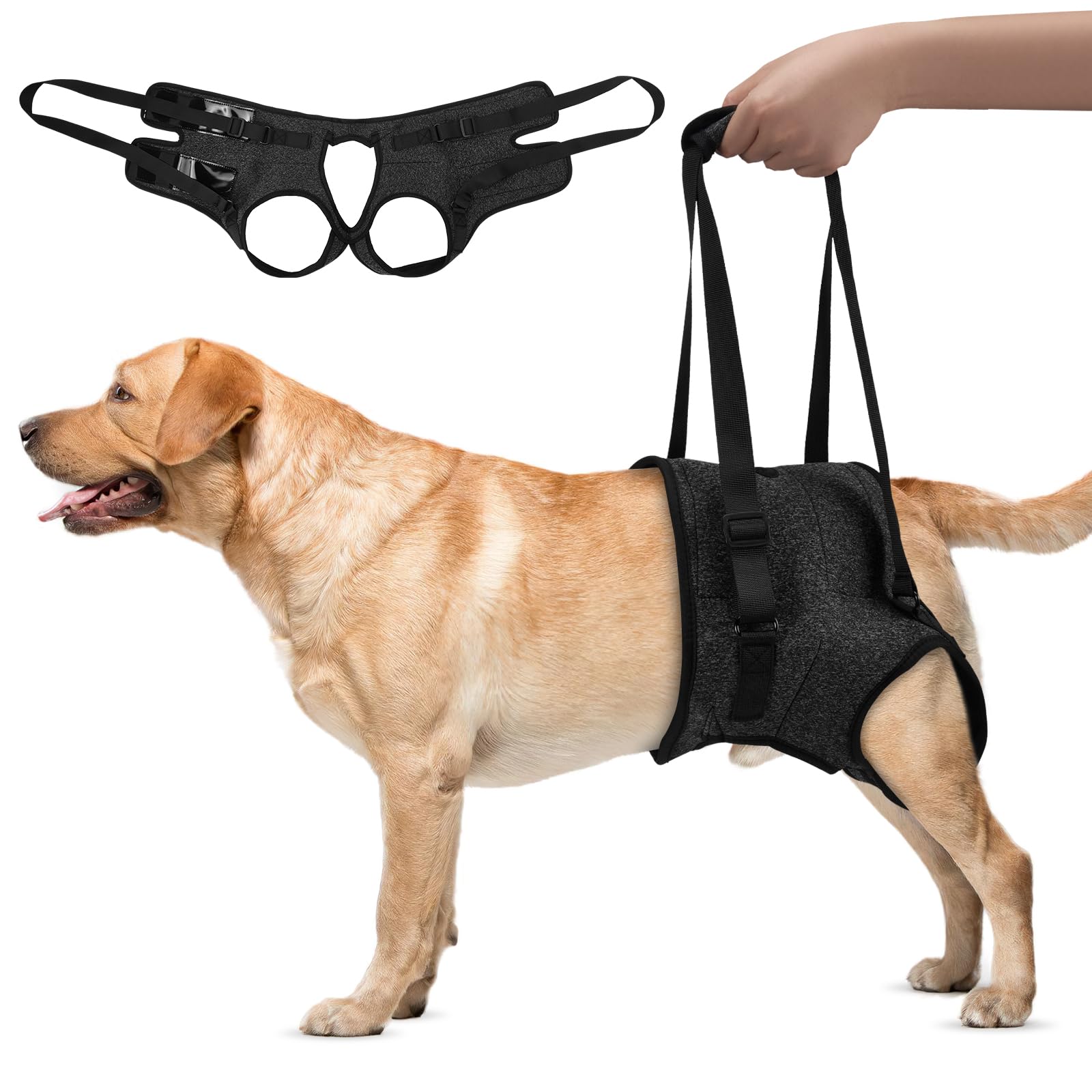Dog Lifting Harness for Back Legs Support,Adjustable Hind Leg Sling for Large Medium Dogs,Dog Support Harness for Back Legs,Mobility Aid for Elderly Disabled Pets,Walking Stair Climbing Assistance(L)