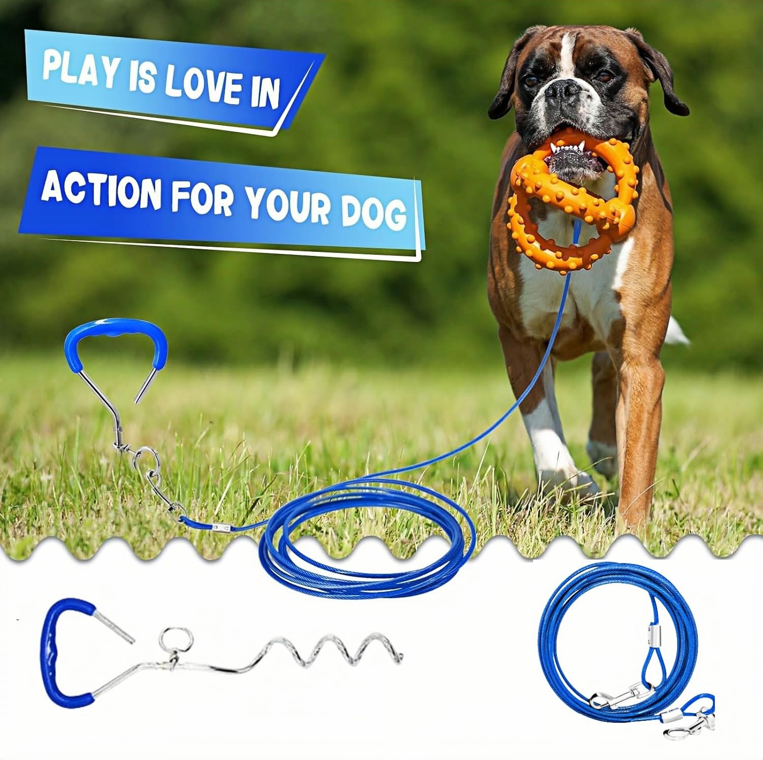 Piquet de pose pour chien avec laisse de 3 m, ancrage solaire pour extérieur, bleu