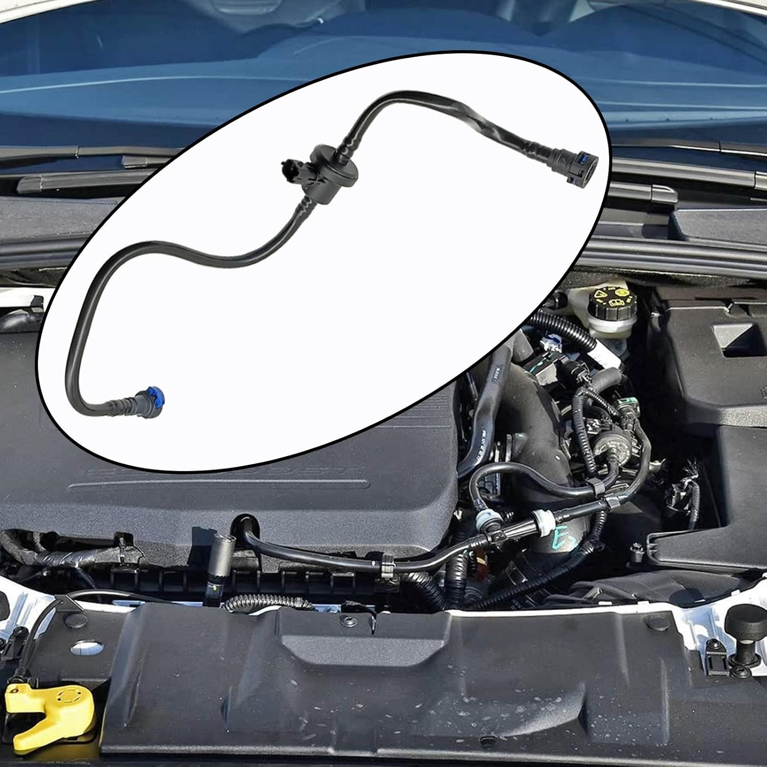 911-777 EVAP Vapor Canister Purge Valve Solenoid Hose, Vapor Canister Purge Valve Compatible with 2012-2018 Focus Replaces BV619D289HA, BV6Z9D289B, CP805, CP894, PV965