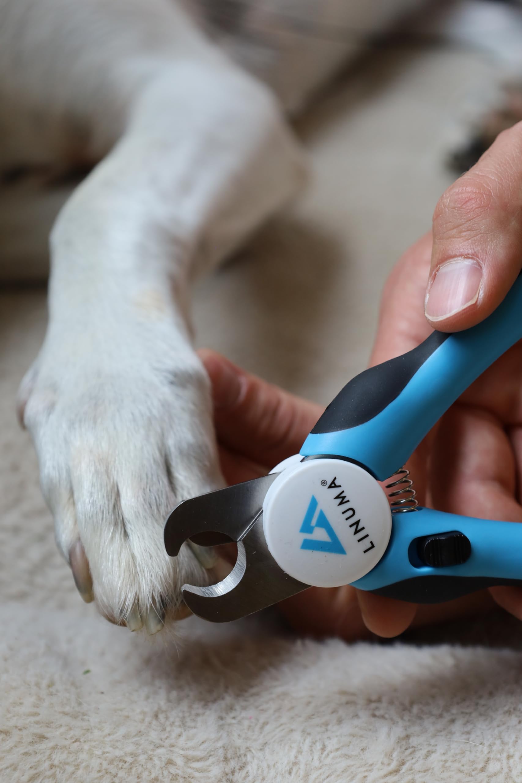 Coupe-Griffes pour Chiens, Chats et Petits Animaux Coupe-Ongles Professionnel en Acier Inoxydable avec butée de sécurité, Lime à Ongles intégrée et poignée antidérapante