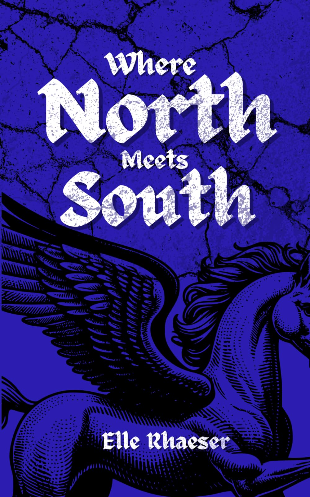 Where North Meets South (Scarred By Feathers)