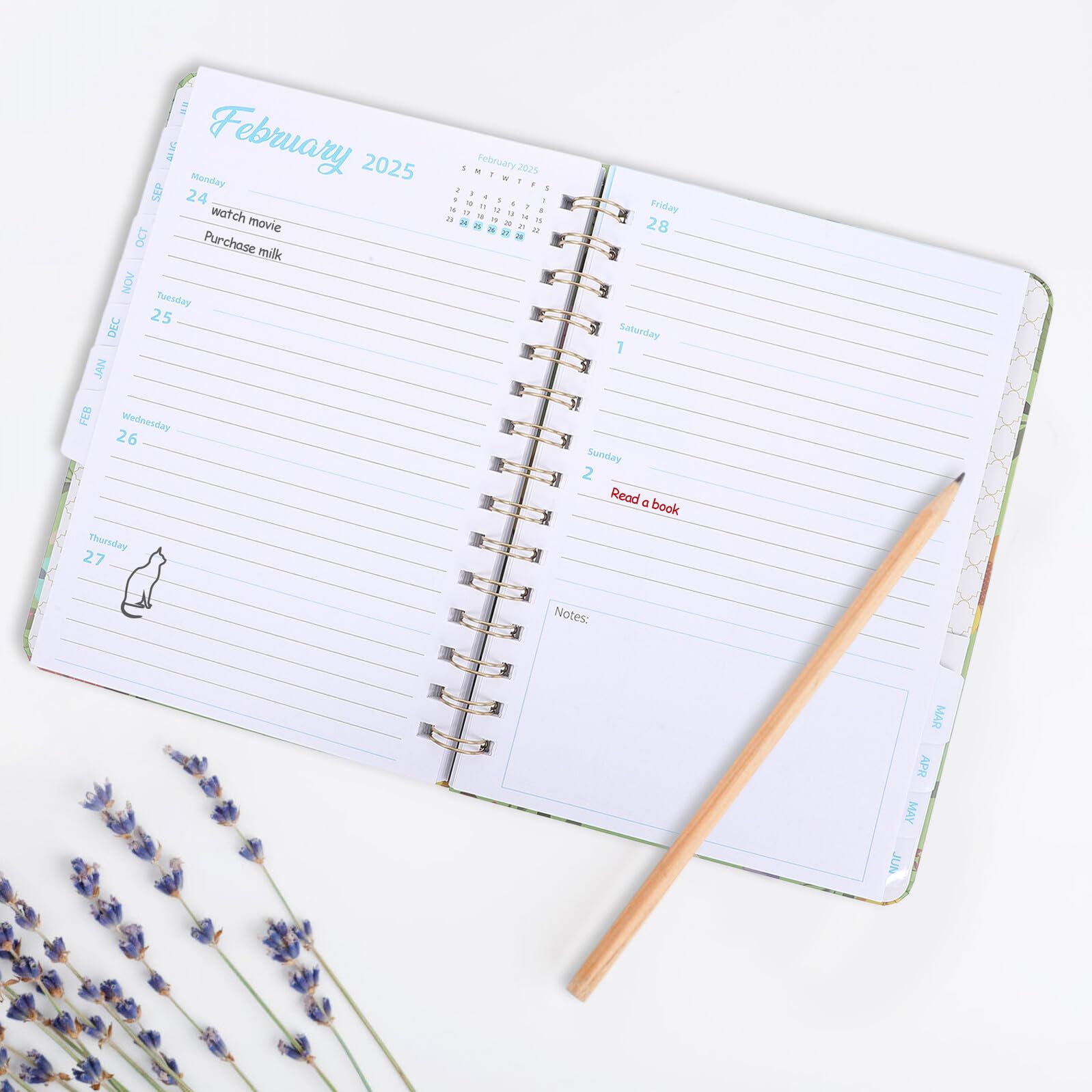 Alipis Agenda Cuaderno Libreta Planificador Anual Con Diseño De Dragón Planificador De Citas De Horarios Semanal Y Mensual Calendario