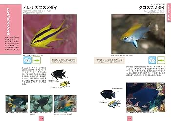 ネイチャーウォッチングガイドブック　スズメダイ Amazon.co.jp: スズメダイ (ネイチャーウォッチングガイドブック