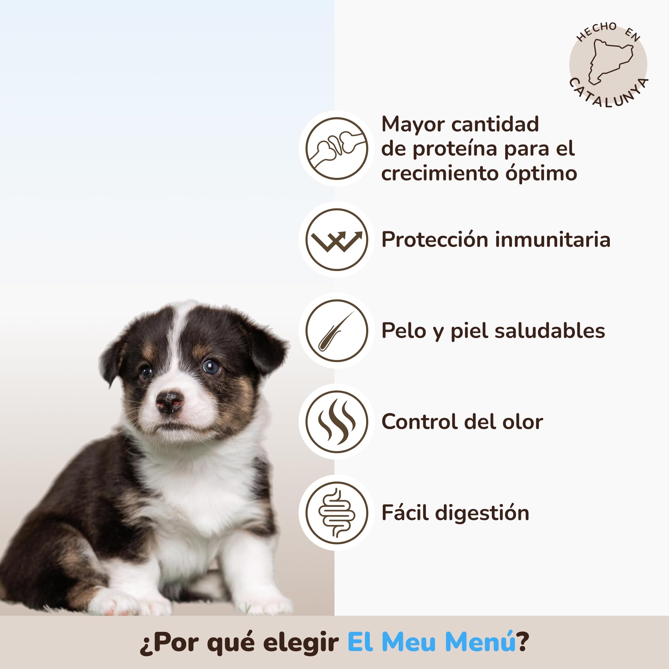 GALITO Pienso Cachorro Pollo y Salmón con Arroz 12 kg