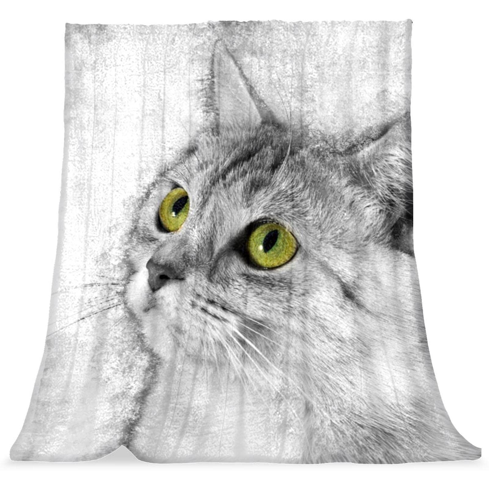 Couverture en peluche microfibre chat de qualité supérieure pour canapé