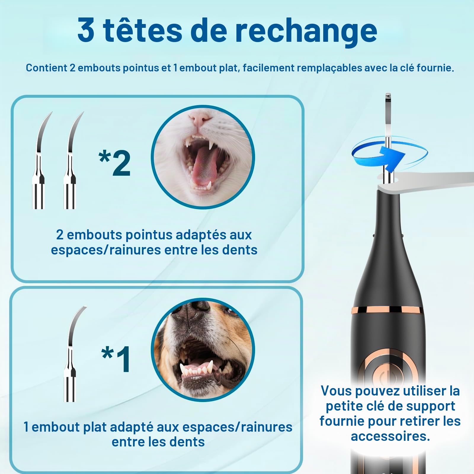 Detartreur Dentaire Ultrason pour Chien et Chat, pour Detartrage Dentaire | Anti Tartre Chien 5 Modes, Detartreur Dentaire pour Nettoyage les Résidus Alimentaires et Adoucit les Dentaire Taches