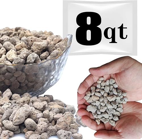 8QT - Piedra pómez hortícola para plantas profesionales tamizadas, para suculentas, cactus, plantas bonsái, 38 pulgadas (8QT)