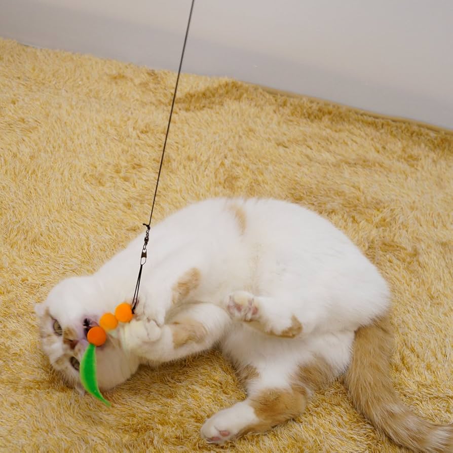 Amazon | キャティーマン (CattyMan) じゃれ猫 猫のお好み