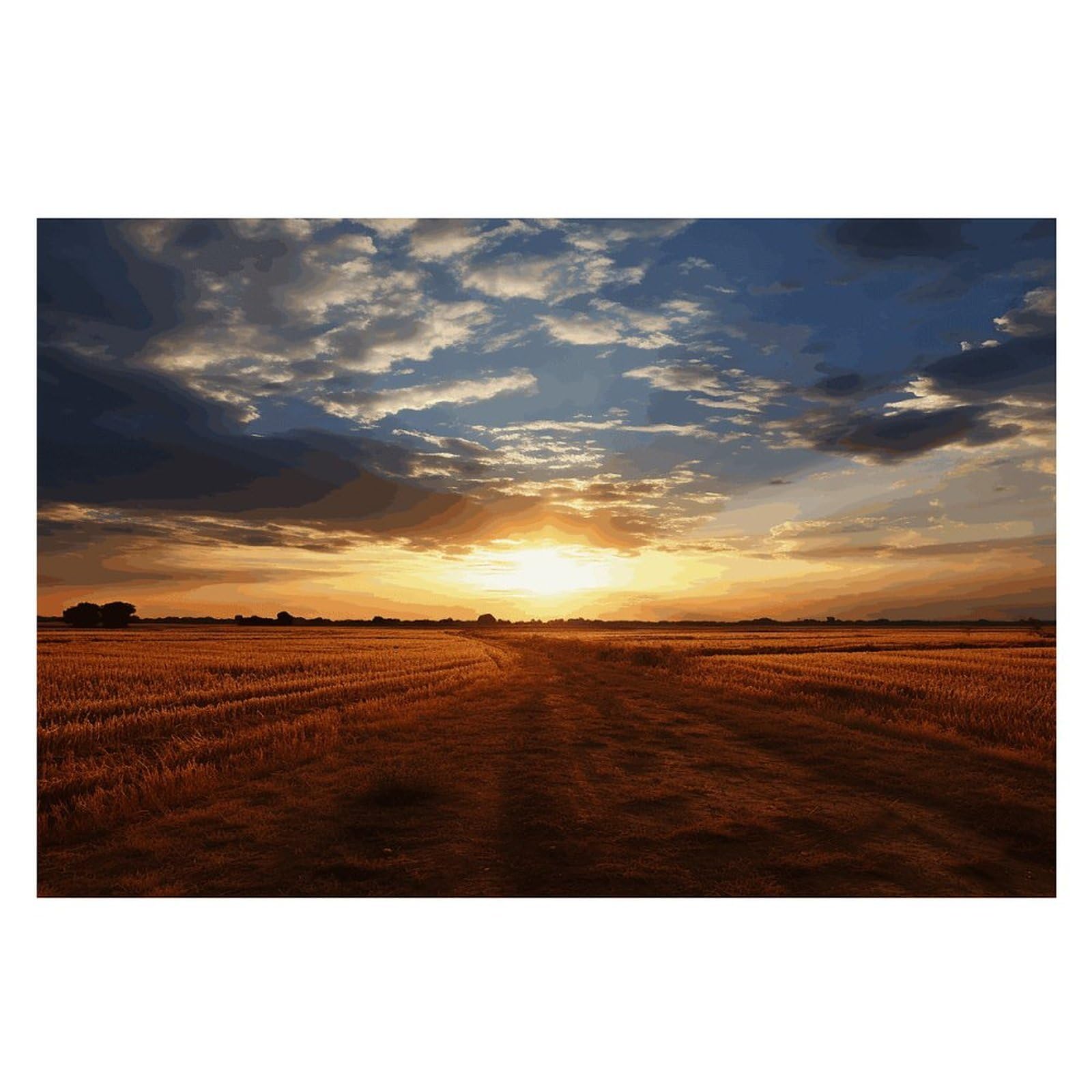 Field Sunrise Placemats Wipeable Heat Resistant Table Mats Washable Flax Place Mats Elegant Cloth Non-Slip Placemat for Kitchen Dinning Party Table Decor 12 * 18 in